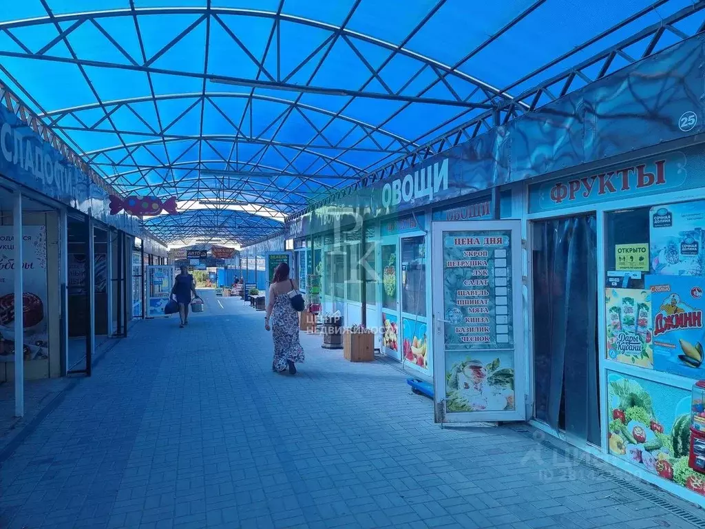 Торговая площадь в Севастополь ул. Лиговская, 31к1 (20 м) - Фото 1