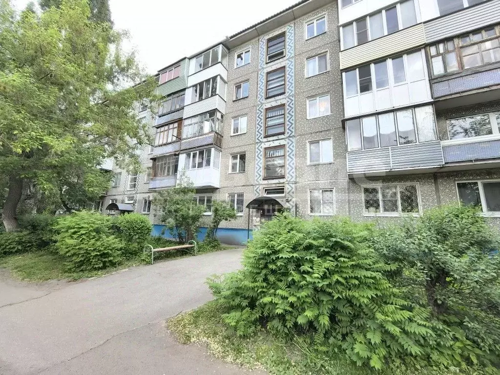 1-к кв. Омская область, Омск 3-й мкр, ул. Путилова, 7Б (30.0 м) - Фото 1