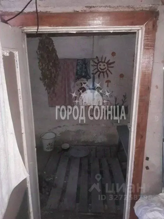 Дом в Омская область, Омск СОСН Биолог тер., 103 (25 м) - Фото 2