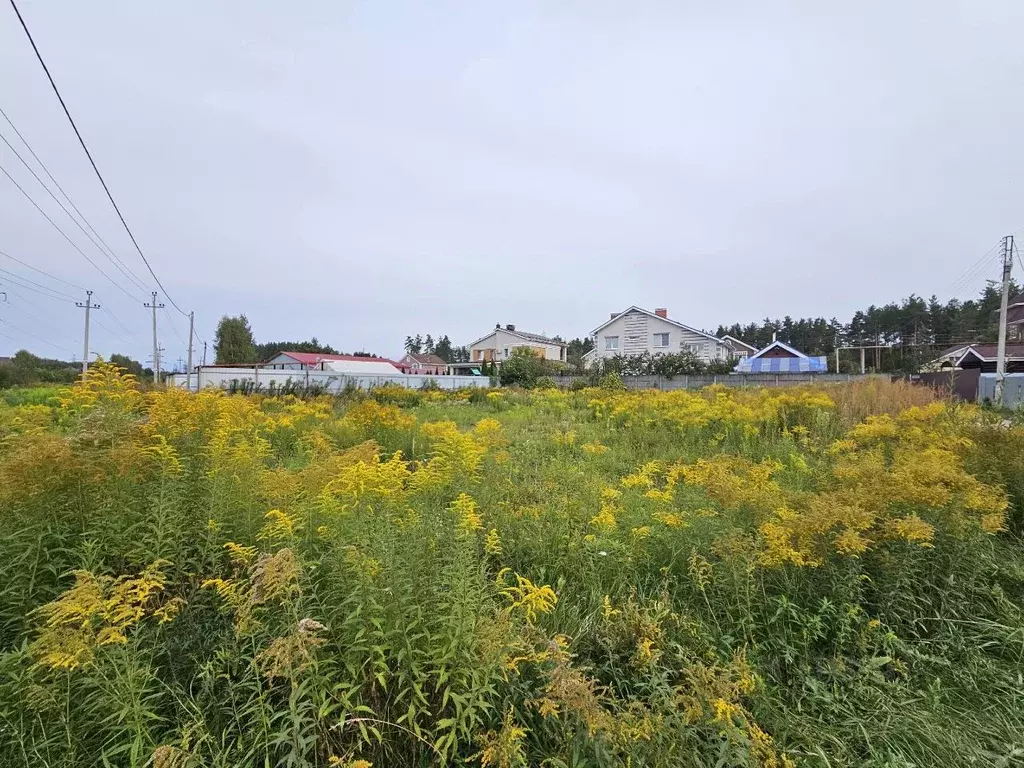 Участок в Нижегородская область, Бор Пичугино мкр, 4-я ул. (10.0 сот.) - Фото 2