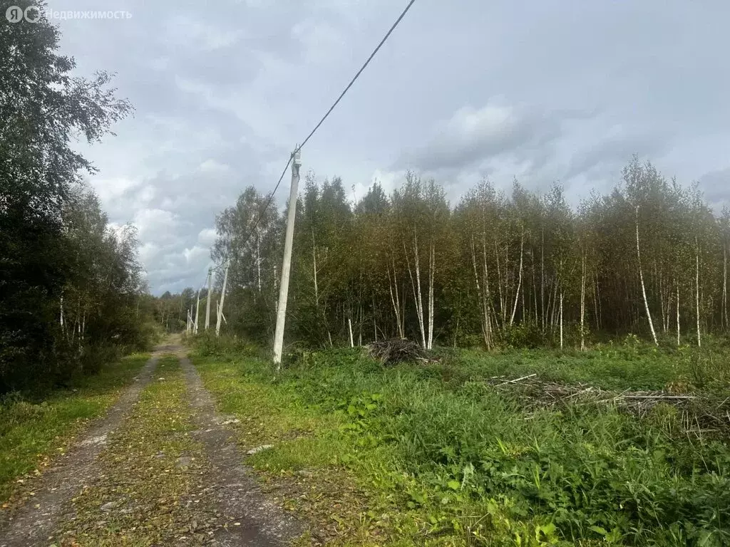 Участок в Ропшинское сельское поселение, садоводческий массив Новая ... - Фото 2