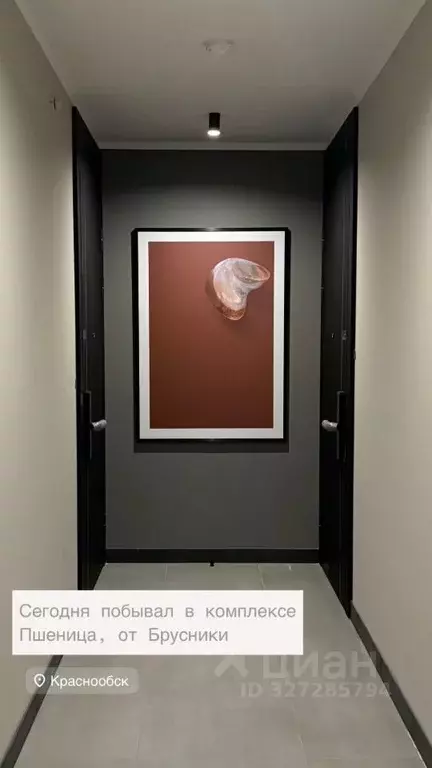 Студия Новосибирская область, Новосибирский район, Краснообск рп, 3-й ... - Фото 2