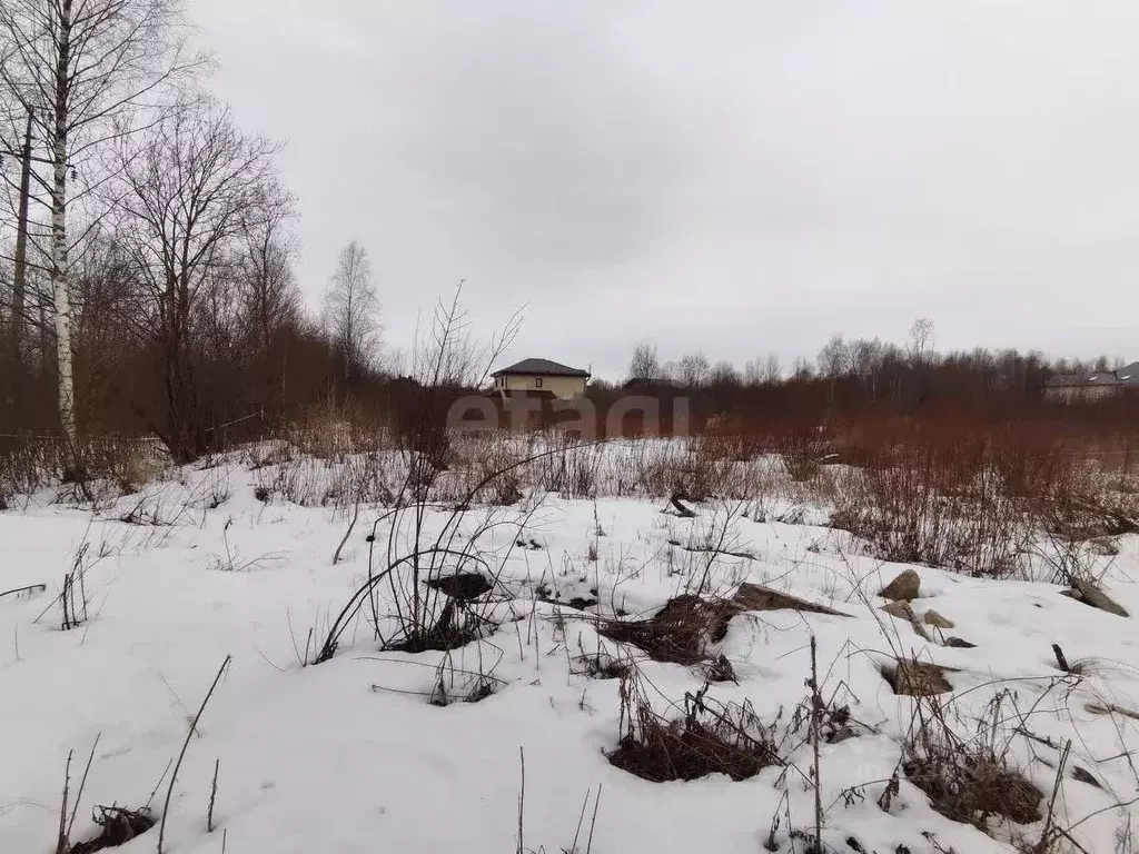 Участок в Вологодская область, Череповецкий район, д. Ирдоматка ул. ... - Фото 1