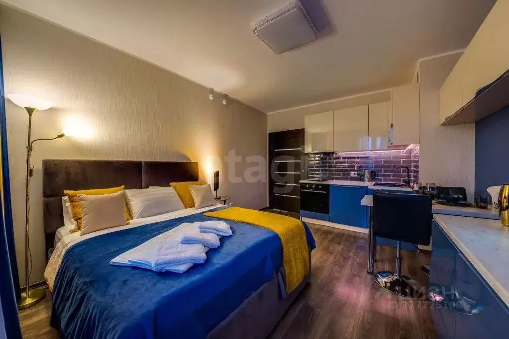 Студия Санкт-Петербург Политехническая ул., 6 (27.9 м) - Фото 1