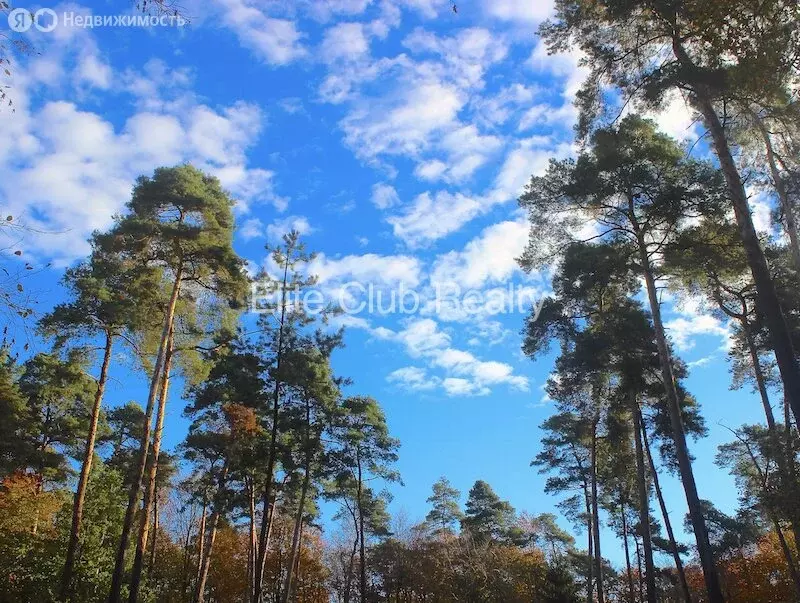 Участок в посёлок Комарово (59 м) - Фото 1