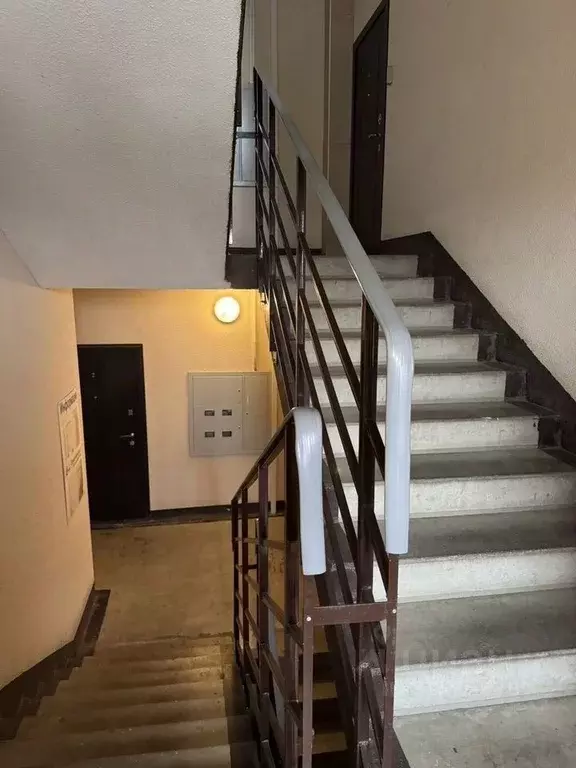 2-к кв. Ленинградская область, Всеволожский район, Агалатовское с/пос, ... - Фото 2