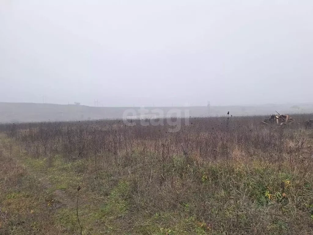 Участок в Ингушетия, Назрановский район, с. Плиево ул. Путина (10.0 ... - Фото 1