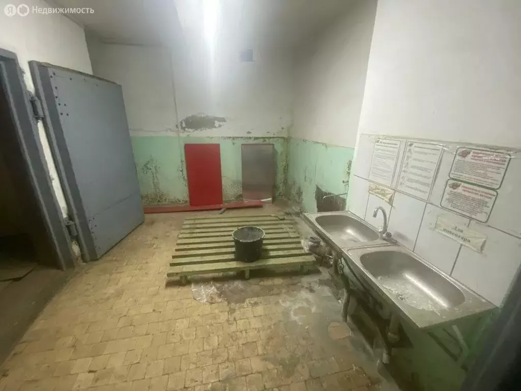 Помещение свободного назначения (546.8 м) - Фото 0
