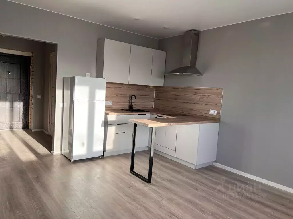Студия Владимирская область, Владимир 1-я Пионерская ул., 82 (26.7 м) - Фото 0