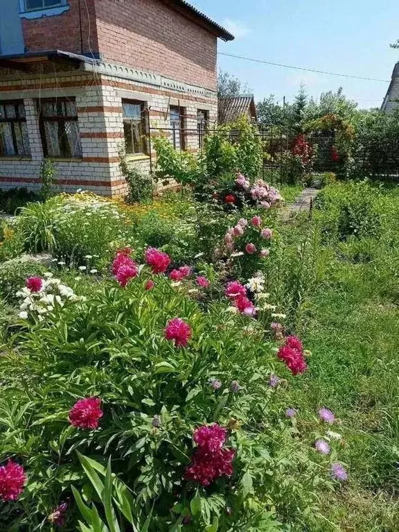 Дом в Самарская область, Ставропольский район, Нижнее Санчелеево ... - Фото 2
