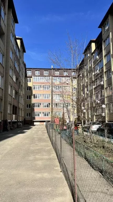 1-к кв. Краснодарский край, Краснодар Музыкальный мкр, ул. Имени ... - Фото 1