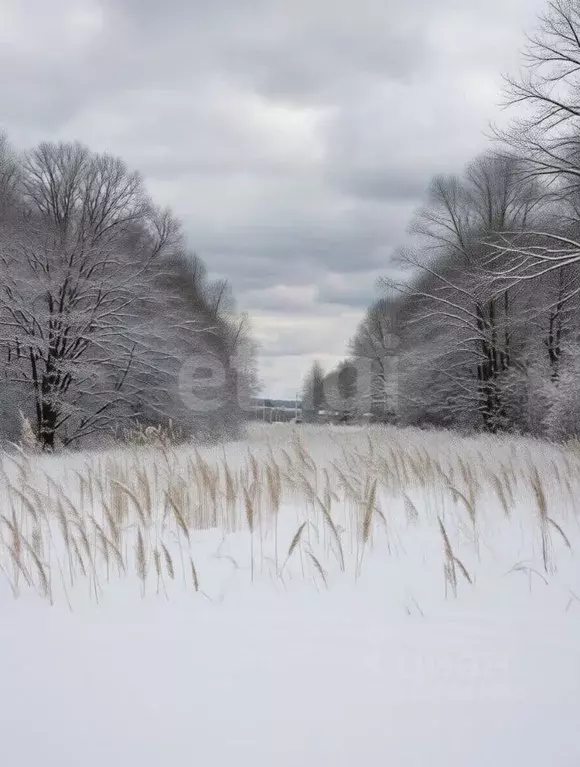 Участок в Тульская область, Тула городской округ, с. Частое ул. ... - Фото 1