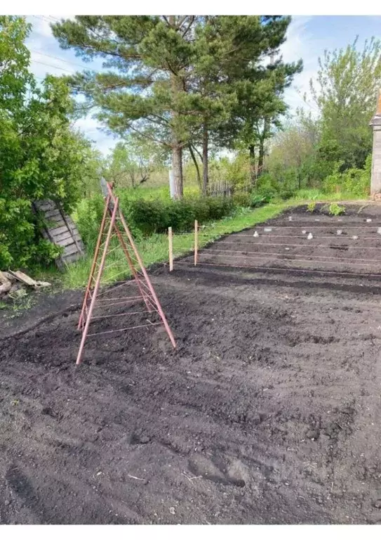 Участок в Пензенская область, Пенза Заря садоводческое товарищество,  ... - Фото 2