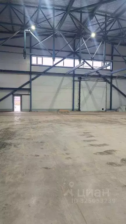 Склад в Московская область, Домодедово городской округ, д. Купчинино  ... - Фото 2