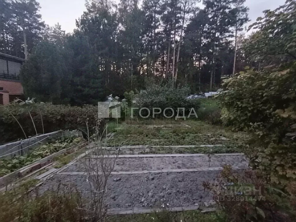 Участок в Новосибирская область, Новосибирск Лесное ш., 12 (10.0 сот.) - Фото 2