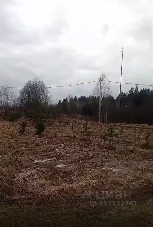 Участок в Московская область, Можайский муниципальный округ, д. ... - Фото 0