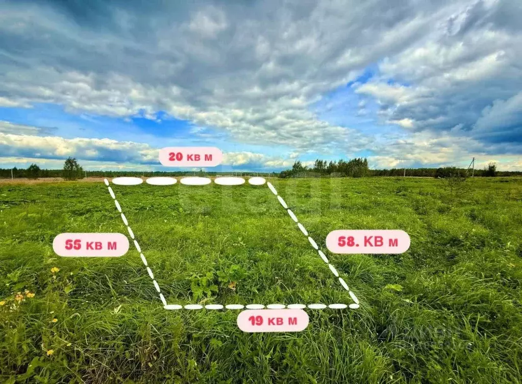 Участок в Владимирская область, Петушинский муниципальный округ, д. ... - Фото 1