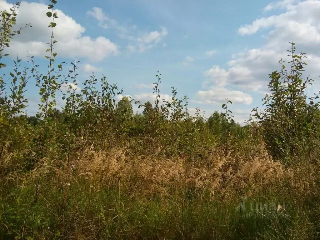 Участок в Коми, Сыктывдинский район, с. Выльгорт, Важъелью мест. ... - Фото 0