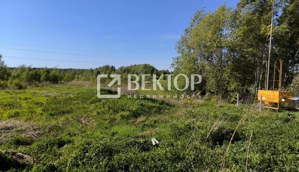 Участок в Костромская область, Костромской район, Бакшеевское с/пос, ... - Фото 1