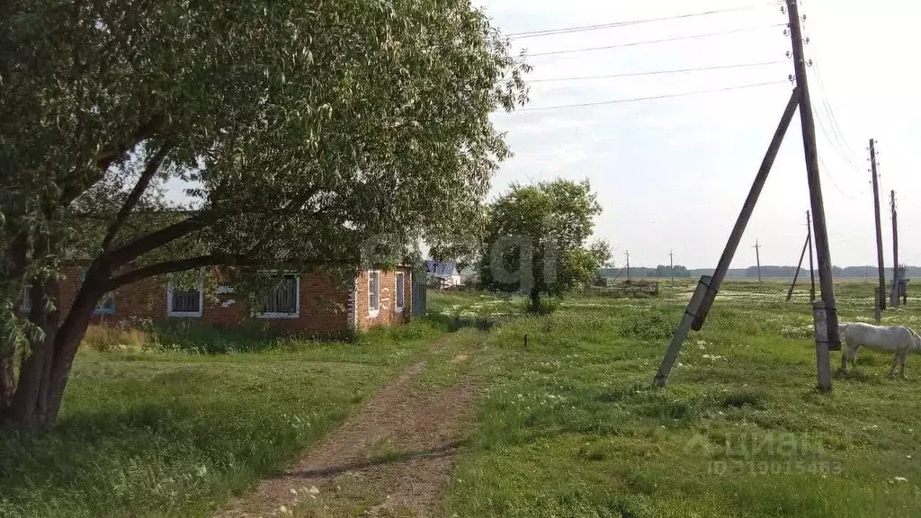 Дом в Омская область, Кормиловский район, с. Юрьево ул. Мира (52 м) - Фото 0