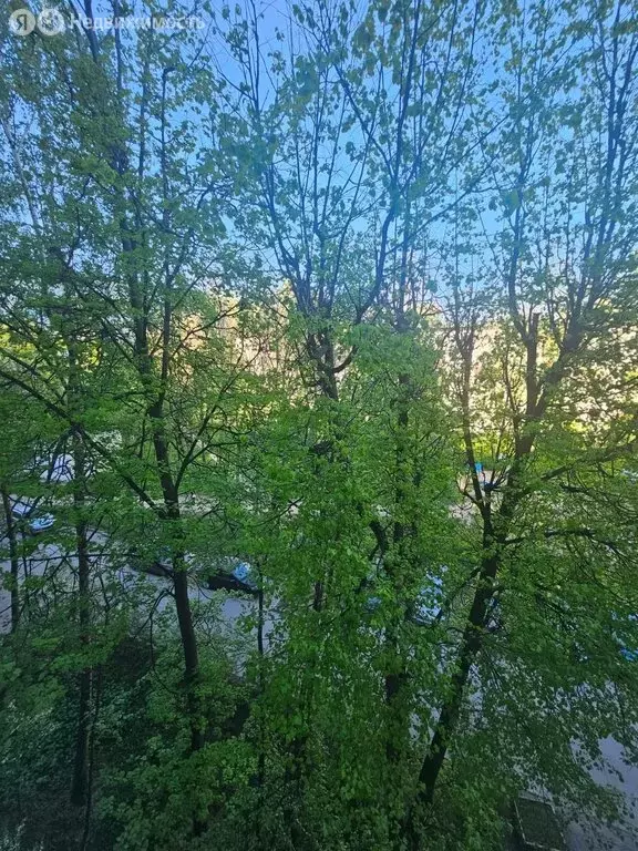 1-комнатная квартира: Санкт-Петербург, улица Крыленко, 5 (31 м) - Фото 0
