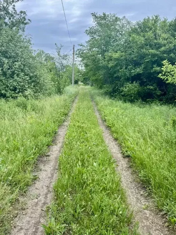 Участок в Краснодарский край, Тимашевский район, Тимашевское городское ... - Фото 2