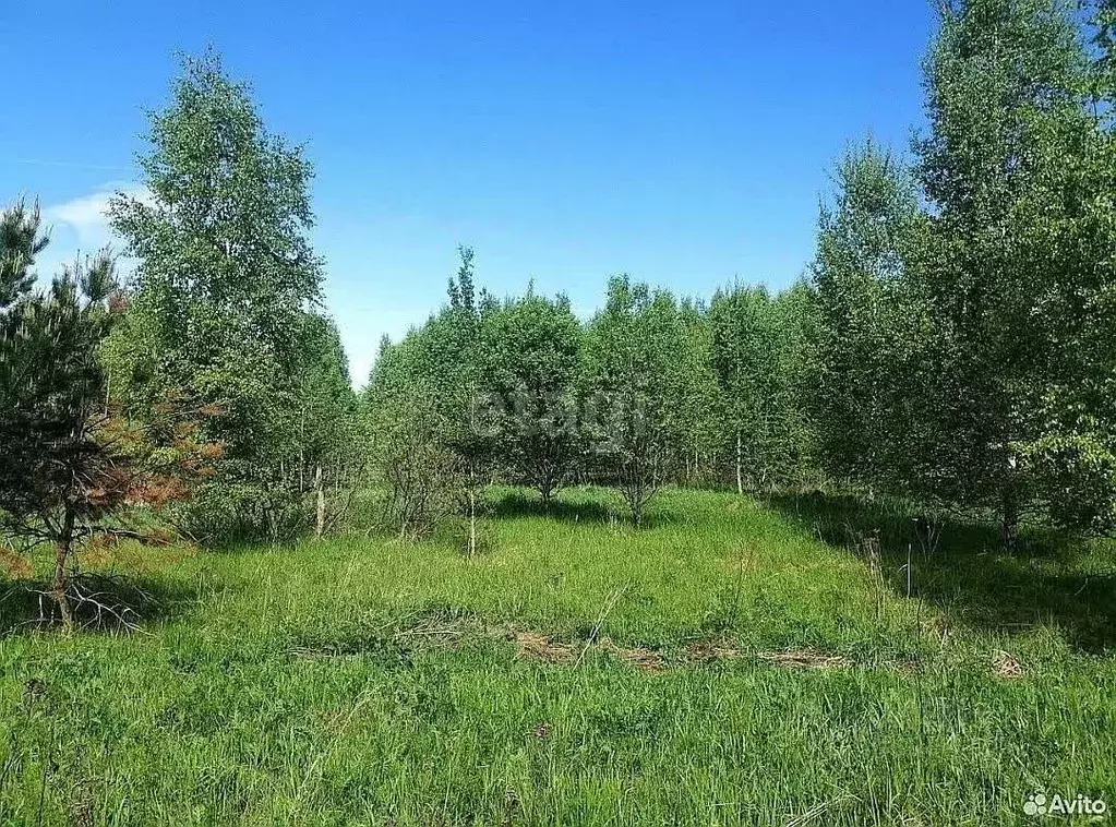 Участок в Ярославская область, Некрасовский муниципальный округ, ... - Фото 1