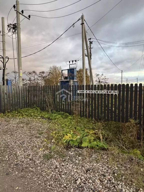 Участок в Ленинградская область, Тосненский район, Федоровское ... - Фото 1