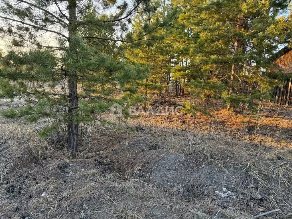 Участок в Бурятия, Улан-Удэ 123-й мкр,  (8.0 сот.) - Фото 1