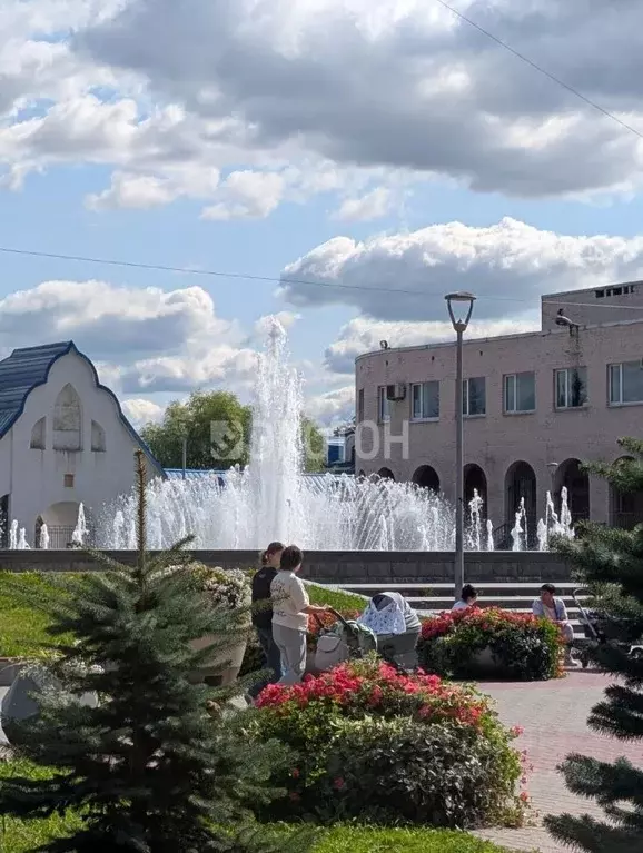 Студия Санкт-Петербург пос. Шушары, Первомайская ул., 5к1 (30.8 м) - Фото 2