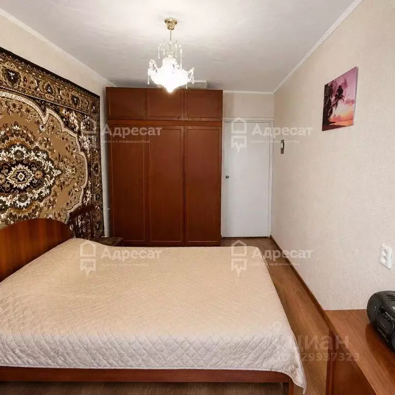 2-к кв. Волгоградская область, Волжский ул. Кирова, 8 (42.7 м) - Фото 2
