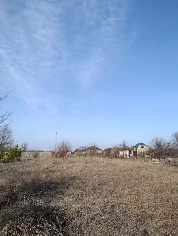 Участок в Саратовская область, Энгельсский район, Терновское ... - Фото 1