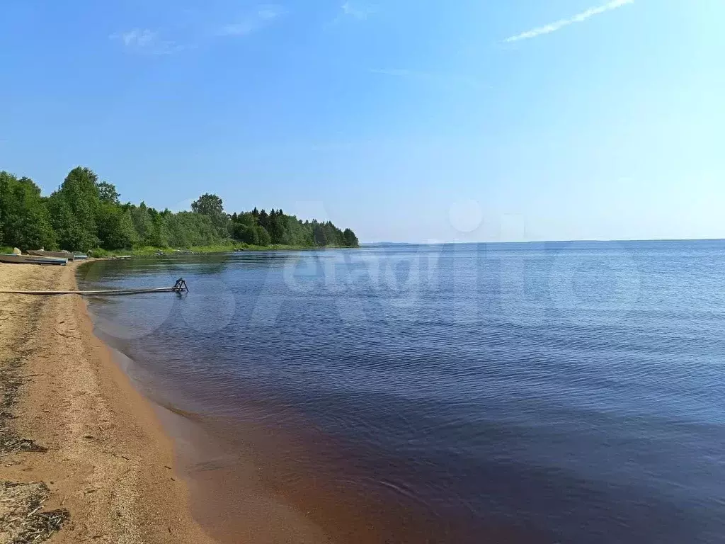 Участок 15 сот. (СНТ, ДНП) - Фото 0