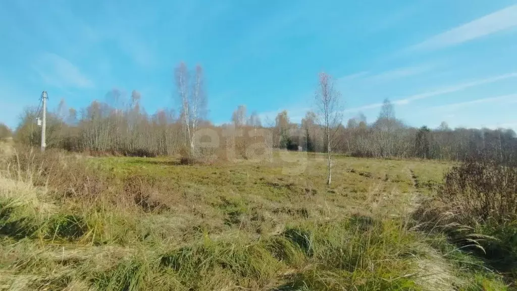 Участок в Московская область, Дмитровский муниципальный округ, с. ... - Фото 1