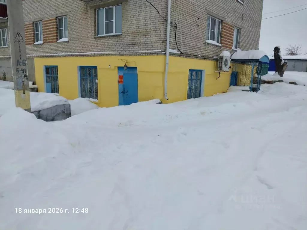 Помещение свободного назначения в Курганская область, Куртамыш ул. ... - Фото 1