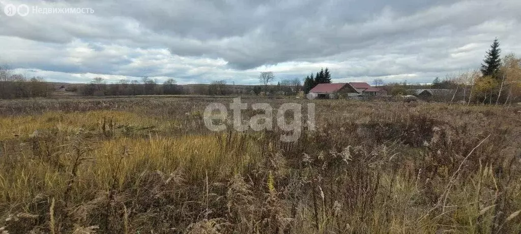 Участок в Тульская область, Венёвский муниципальный округ, село ... - Фото 1