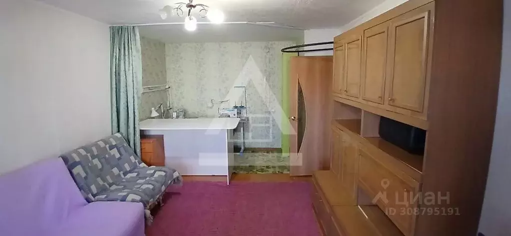 2-к кв. Челябинская область, Еткульский муниципальный округ, пос. ... - Фото 2