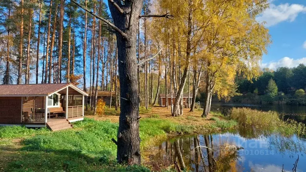 Дом в Псковская область, Себежское с/пос, д. Угаринка  (30 м) - Фото 1