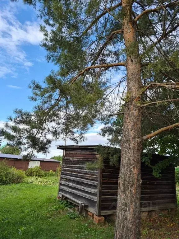 Участок в Омская область, Любинский район, Дружба СНТ  (5.5 сот.) - Фото 1