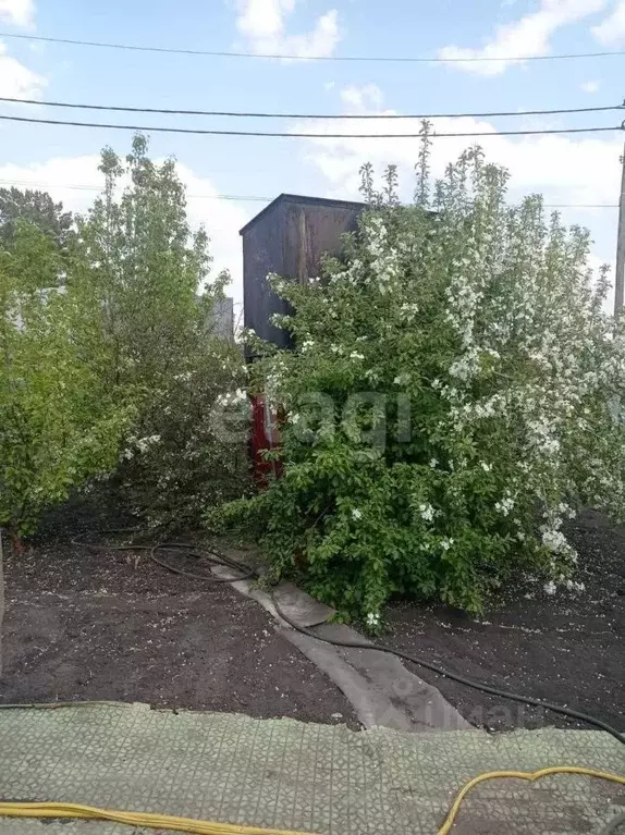 Дом в Тюменская область, Тюмень Салют СНТ, ул. Цветочная (36 м) - Фото 1