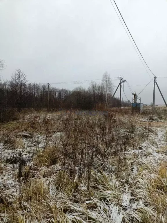 Участок в Нижегородская область, Богородский муниципальный округ, д. ... - Фото 1