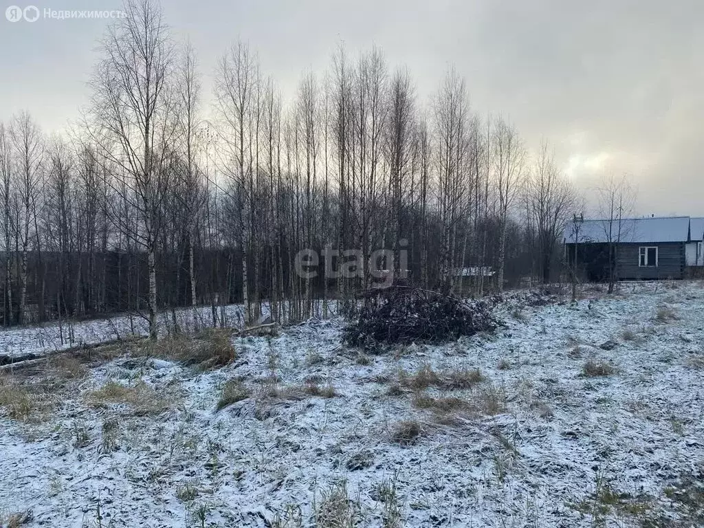 Участок в Республика Коми, муниципальный район Сыктывдинский, ... - Фото 0