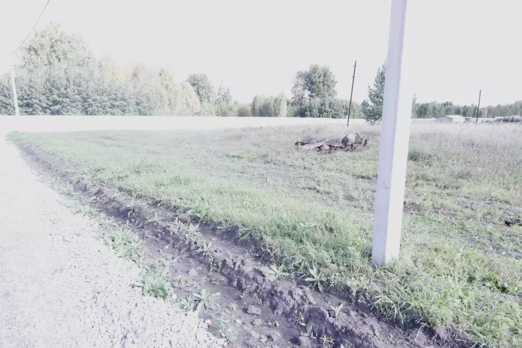 Участок в Новосибирская область, Коченевский район, Прокудский ... - Фото 2