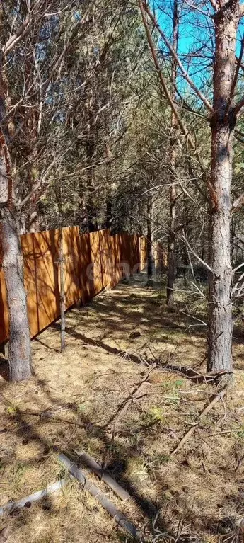 Участок 12 сот. (ИЖС) - Фото 0