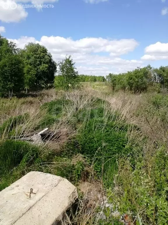 Участок в Тюмень, садовое товарищество Яровское (15.84 м) - Фото 2