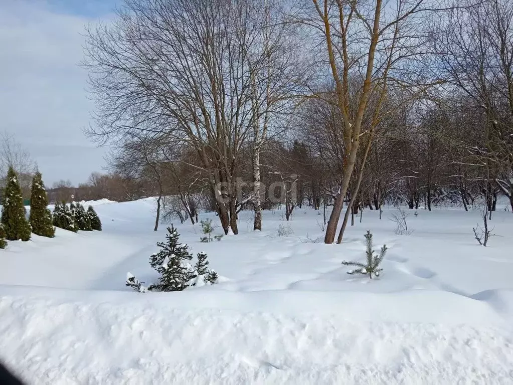 Участок в Московская область, Чехов городской округ, д. Масловка  (5.8 ... - Фото 1