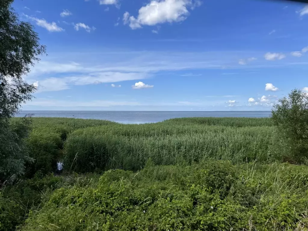 Участок в Калининградская область, Полесский муниципальный округ, пос. ... - Фото 2