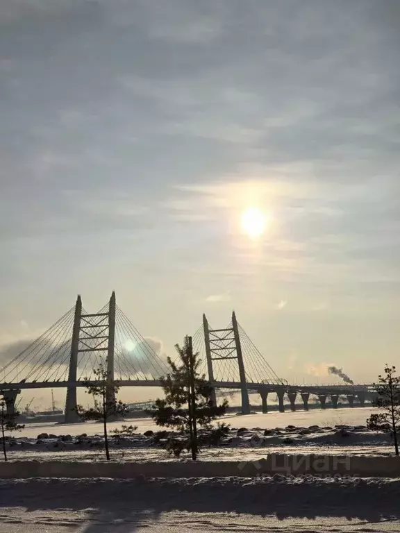 2-к кв. Санкт-Петербург наб. Миклухо-Маклая, 1к1 (65.0 м) - Фото 1