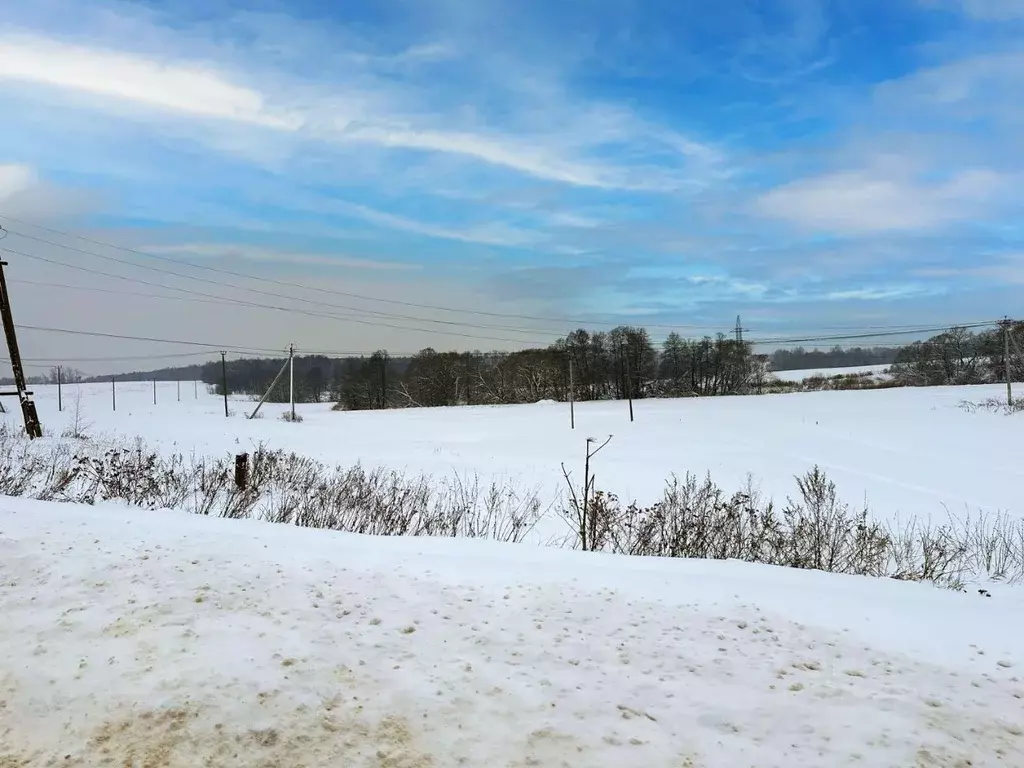 Участок в Московская область, Домодедово городской округ, пос. ... - Фото 2