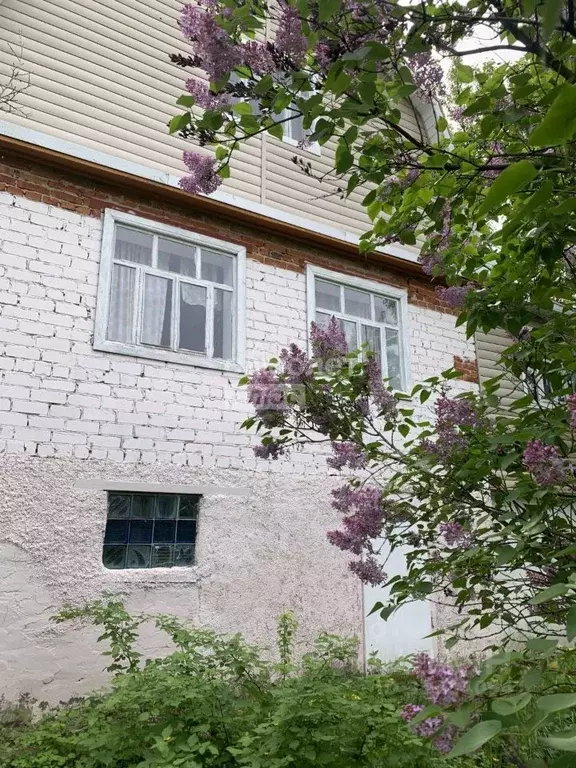 Дом в Татарстан, Верхнеуслонский район, с. Нижний Услон  (70 м) - Фото 0